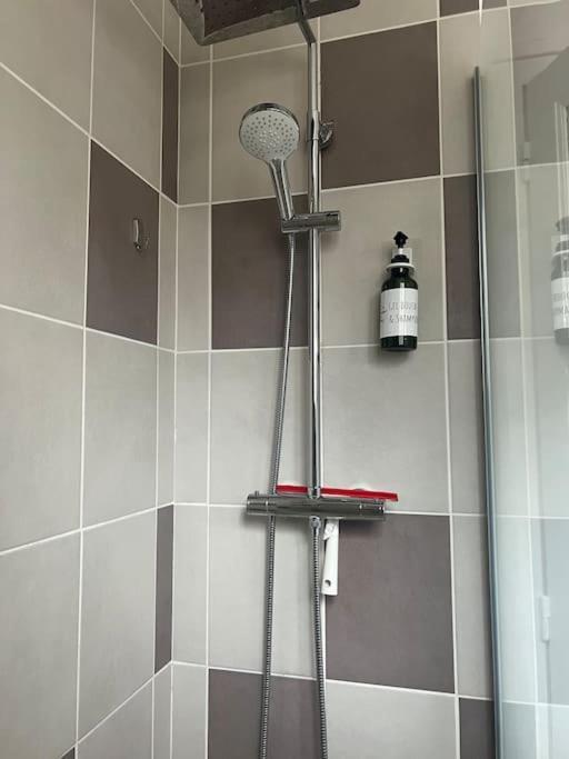 Appartement Proche Des Facs Lebon Clermont-Ferrand Ngoại thất bức ảnh